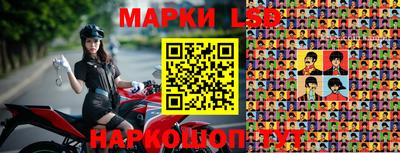 эйфоретик Гудермес
