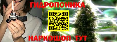 ПСИЛОЦИБИНОВЫЕ ГРИБЫ Краснодар