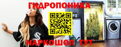 Альфа ПВП Краснознаменск