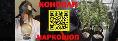 ПСИЛОЦИБИНОВЫЕ ГРИБЫ Краснодар