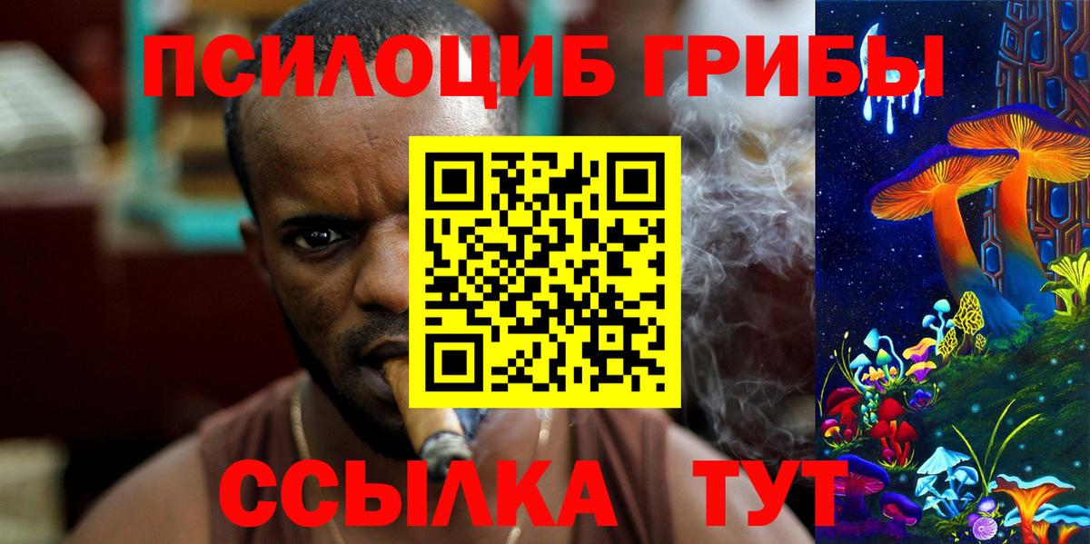 Псилоцибиновые грибы прущие грибы  Вход с VPN  Чусовой 